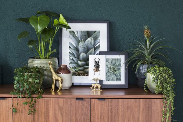 fotowand met ananas en succulente