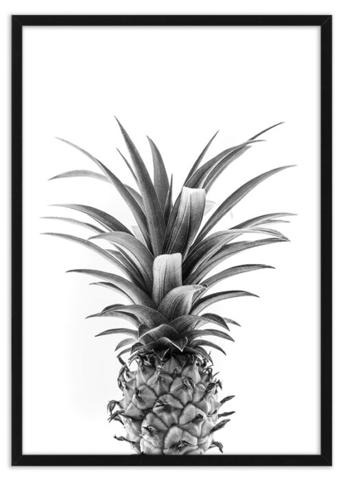 Poster ananas kroon