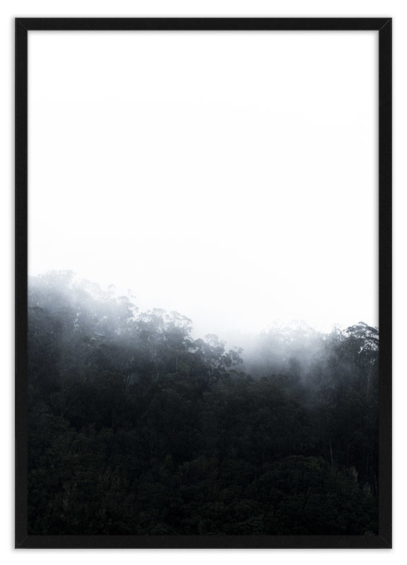 Poster regenwoud in de mist