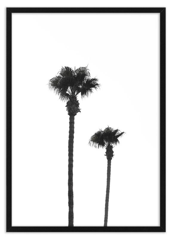 Poster palmbomen