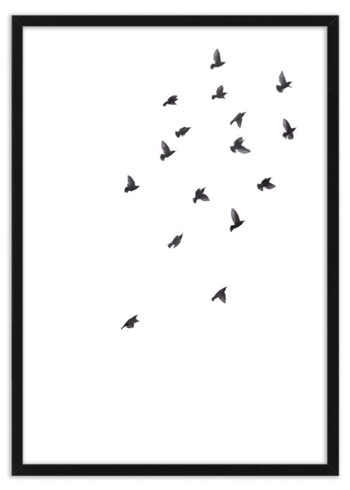 Poster vogels spreeuwen