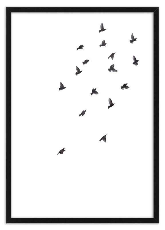 Poster vogels spreeuwen