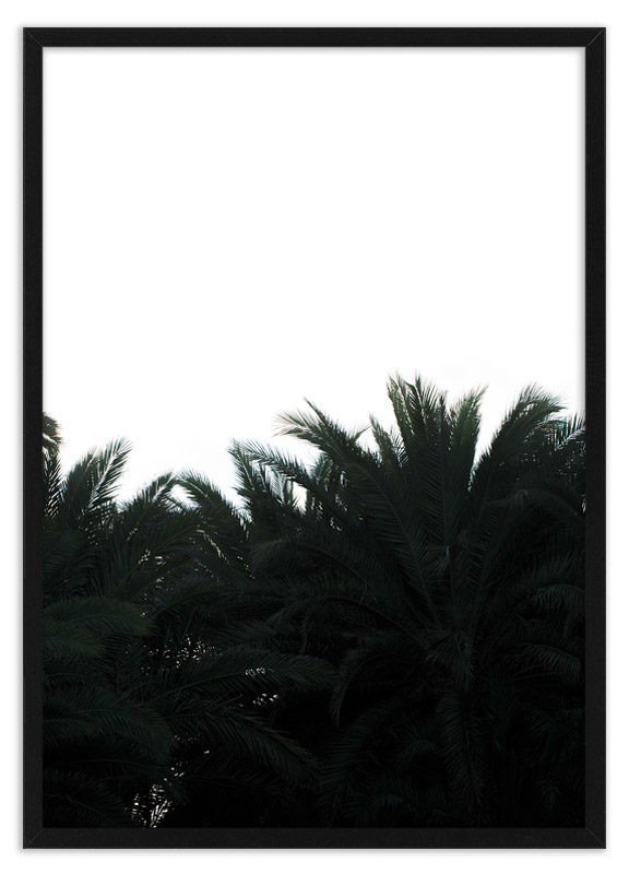 Poster palmbladeren