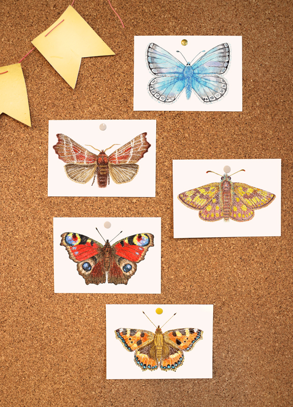 Kaartenset vlinders aquarel